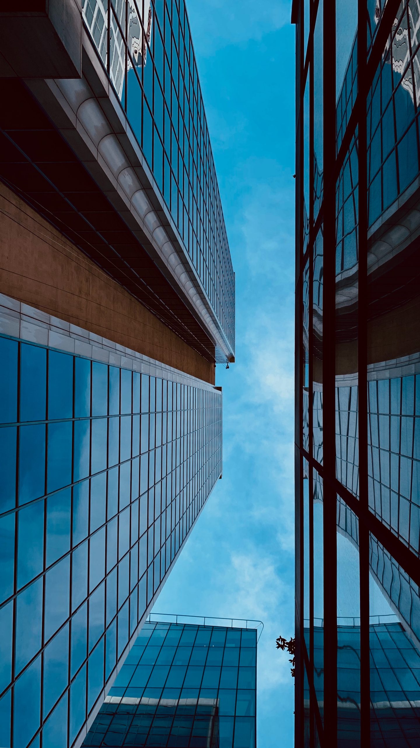 irfan-simsar-2Zrm9MhTc0k-unsplash